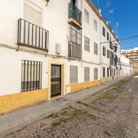 Entre Flores Y Murallas - Nieves Viejas *